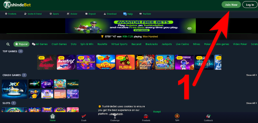 Register at Tushinde Aviator