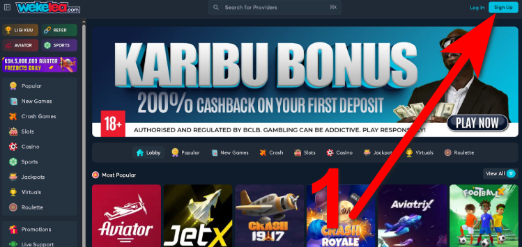 Wekelea Aviator Login